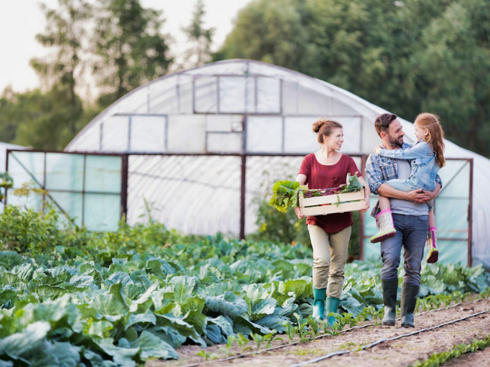 Farm & Garden